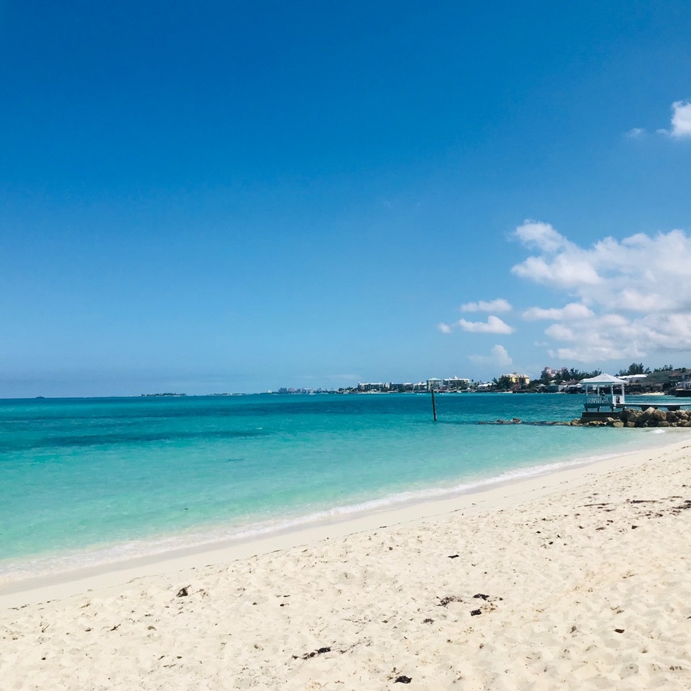 Meet your Posher, Cecily